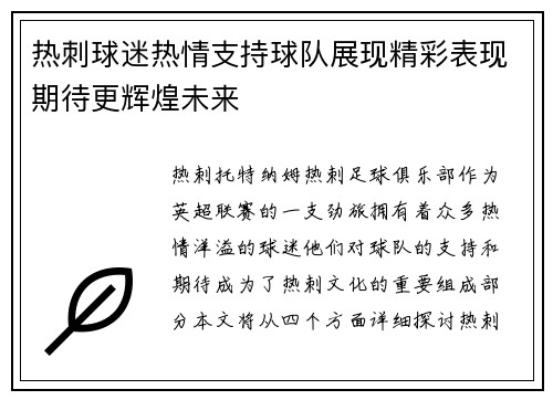热刺球迷热情支持球队展现精彩表现期待更辉煌未来