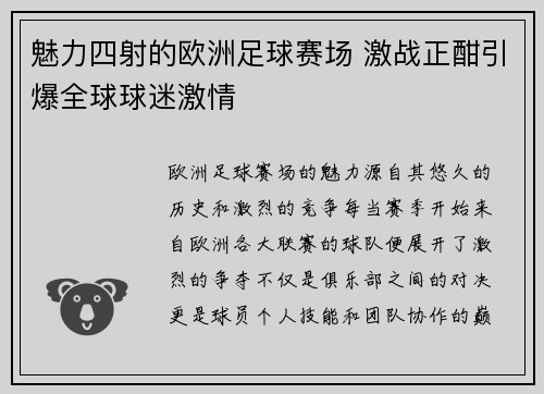 魅力四射的欧洲足球赛场 激战正酣引爆全球球迷激情