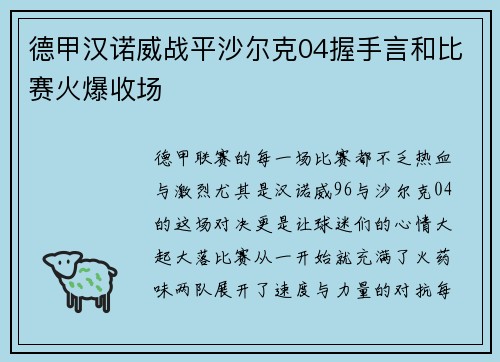 德甲汉诺威战平沙尔克04握手言和比赛火爆收场